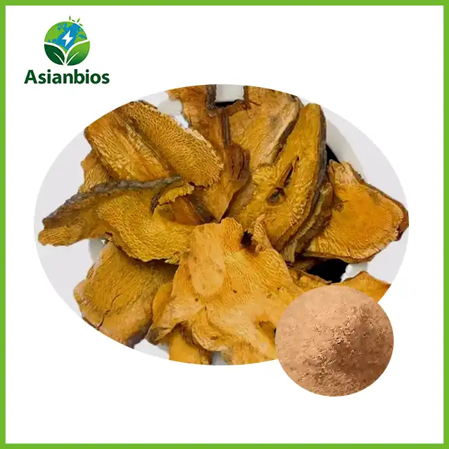 Polygonum Cuspidatum Extract powder